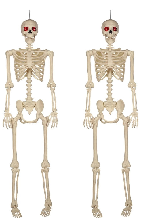 Talking Skeletons, Set of 2