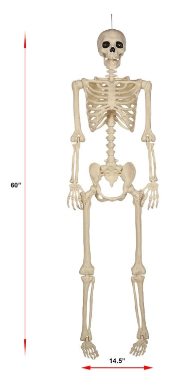 Talking Skeletons, Set of 2