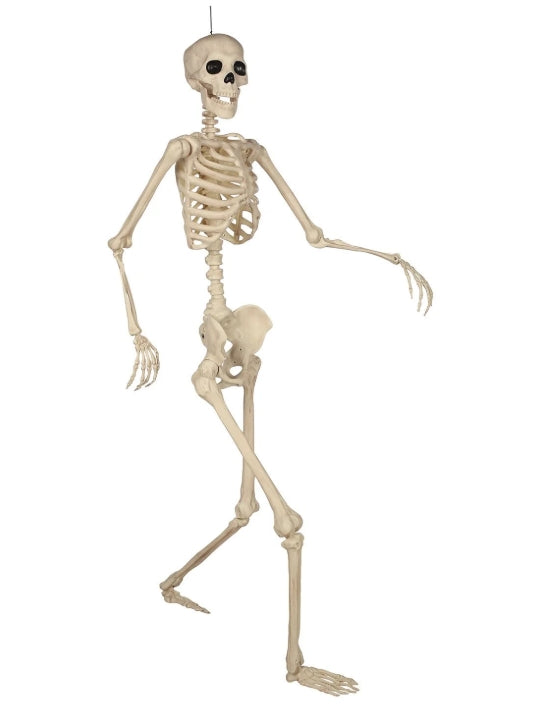 Talking Skeletons, Set of 2